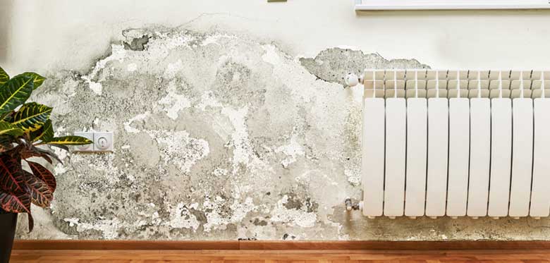 Is your cavity wall insulation causing problems in your home?