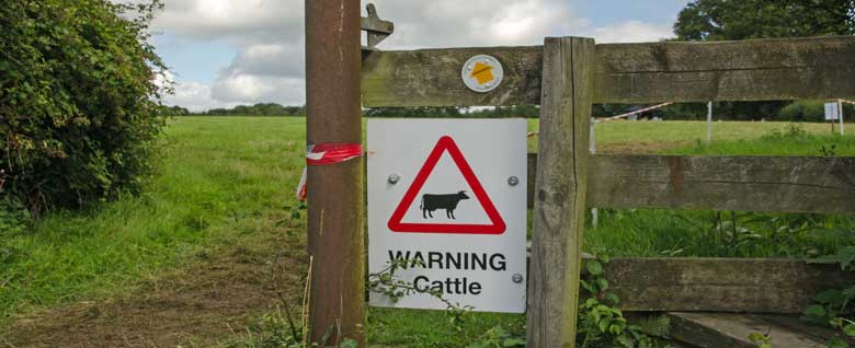 Farmer prosecuted after man was crushed by cattle in fatal accident