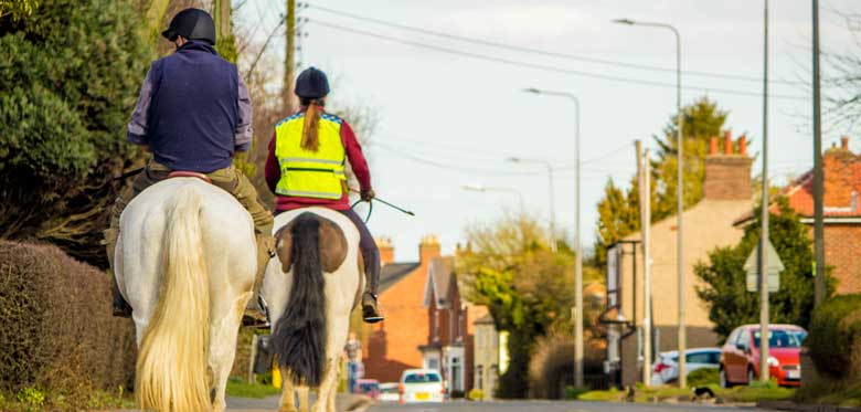 Road collisions involving horses doubles in Greater Manchester 