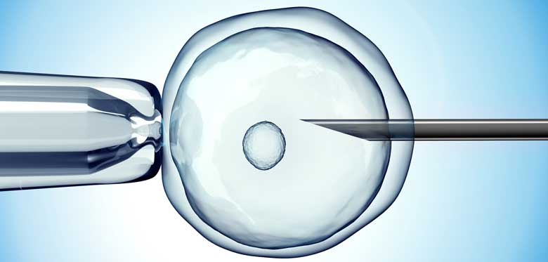 Can costs associated with surrogacy be recovered if medical negligence caused infertility?